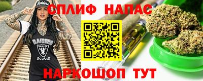 мет Можга