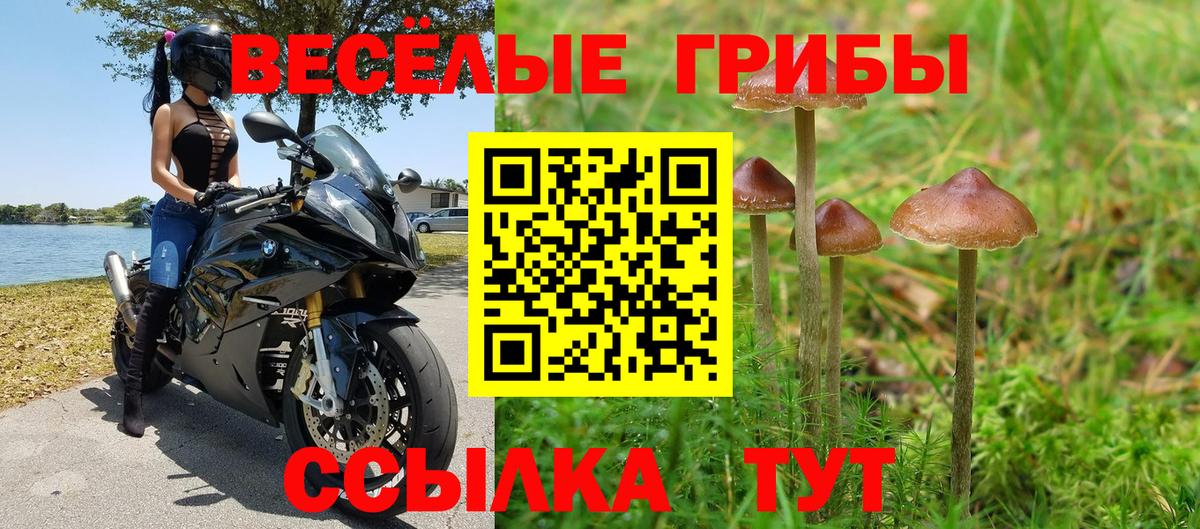 Галлюциногенные грибы Psilocybe  Вход с VPN  Бугуруслан 