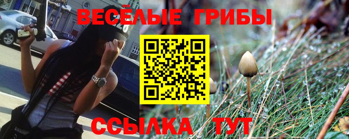 Псилоцибиновые грибы прущие грибы Бугуруслан